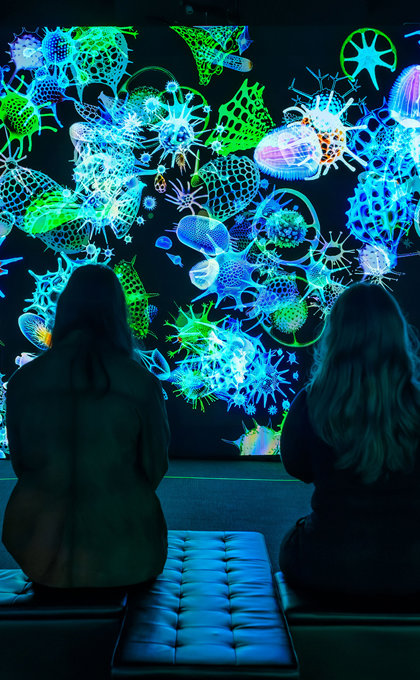 Discover the secrets of the ocean floor where technology and nature drift together