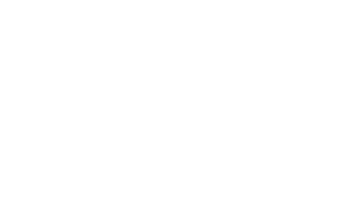 SLSA Logo