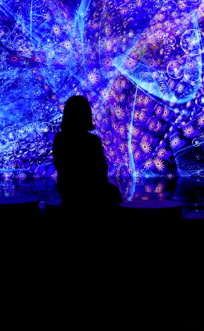 Discover the secrets of the ocean floor where technology and nature drift together